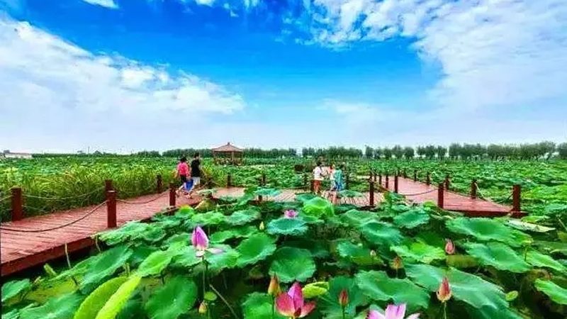 农业项目生产设备：如何评估其优缺点**