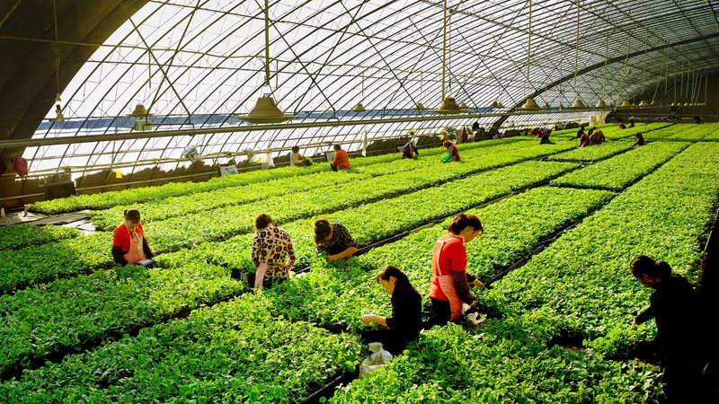 在选购农药化肥时，以下指标值得关注：