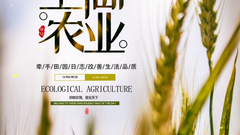 绿色食品标志：使用要求与合规要点