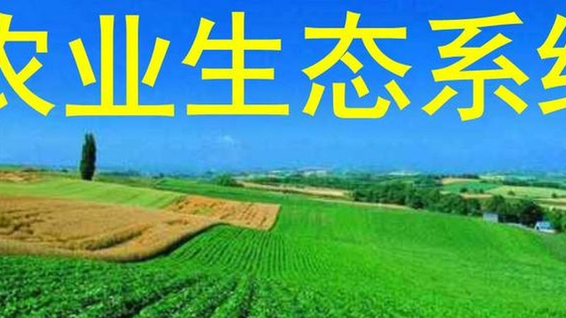 智能温室大棚与普通大棚：揭秘两者之间的关键差异