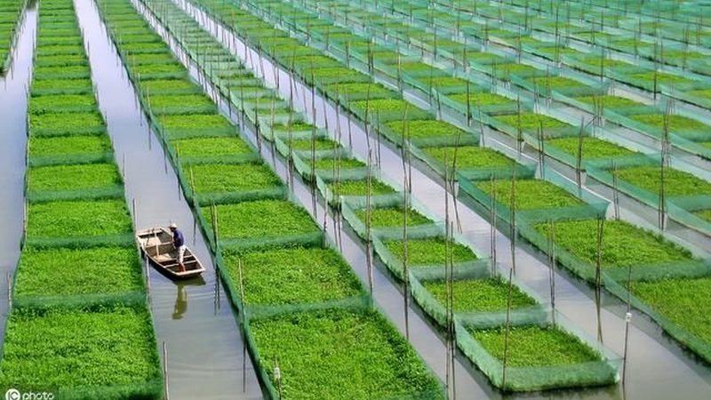 成都智慧农业灌溉系统：价格背后的技术考量