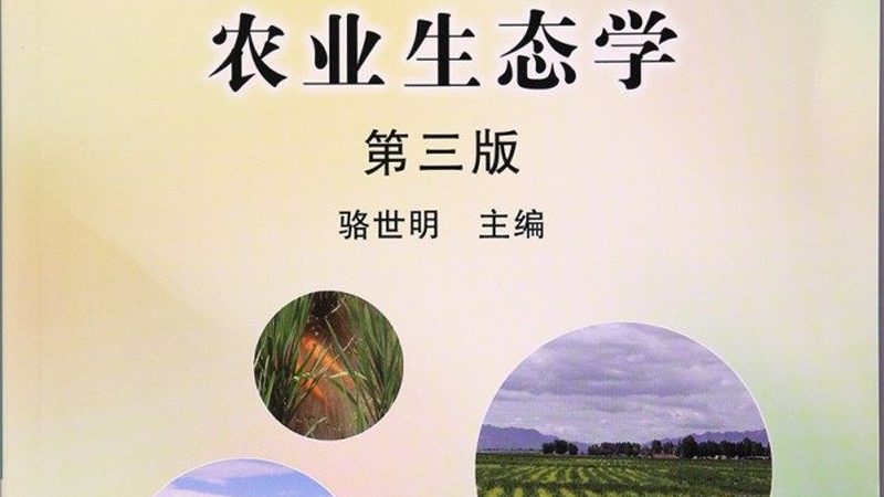 绿色食品代理，如何辨真伪？揭秘正规品牌选择秘诀**