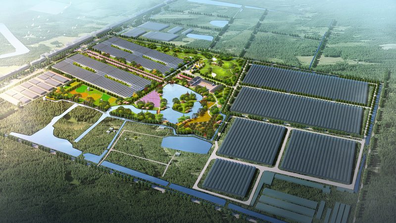 温室智能控制系统：打造智慧农业的未来**