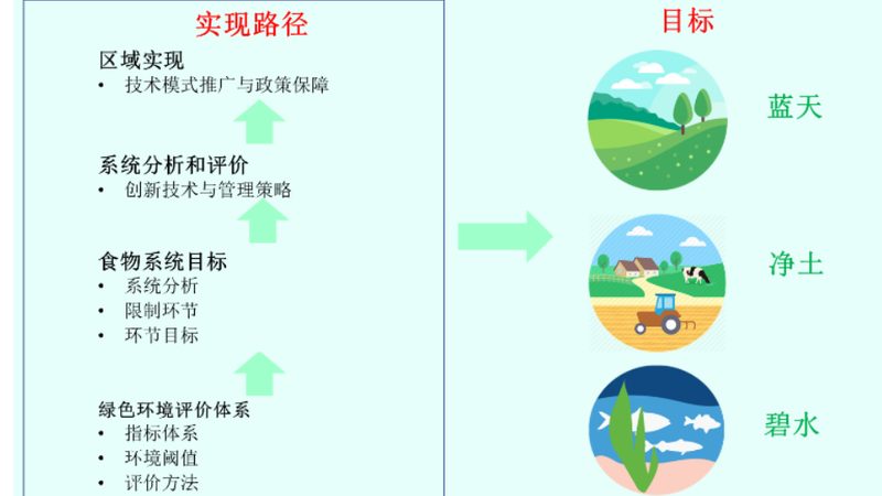 进口农产品批发清关流程全解析