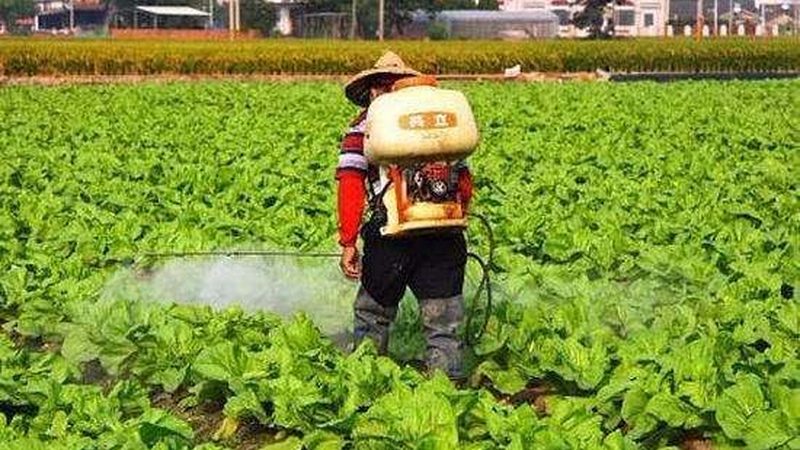 小型农业种植项目：如何选择合适的厂家**